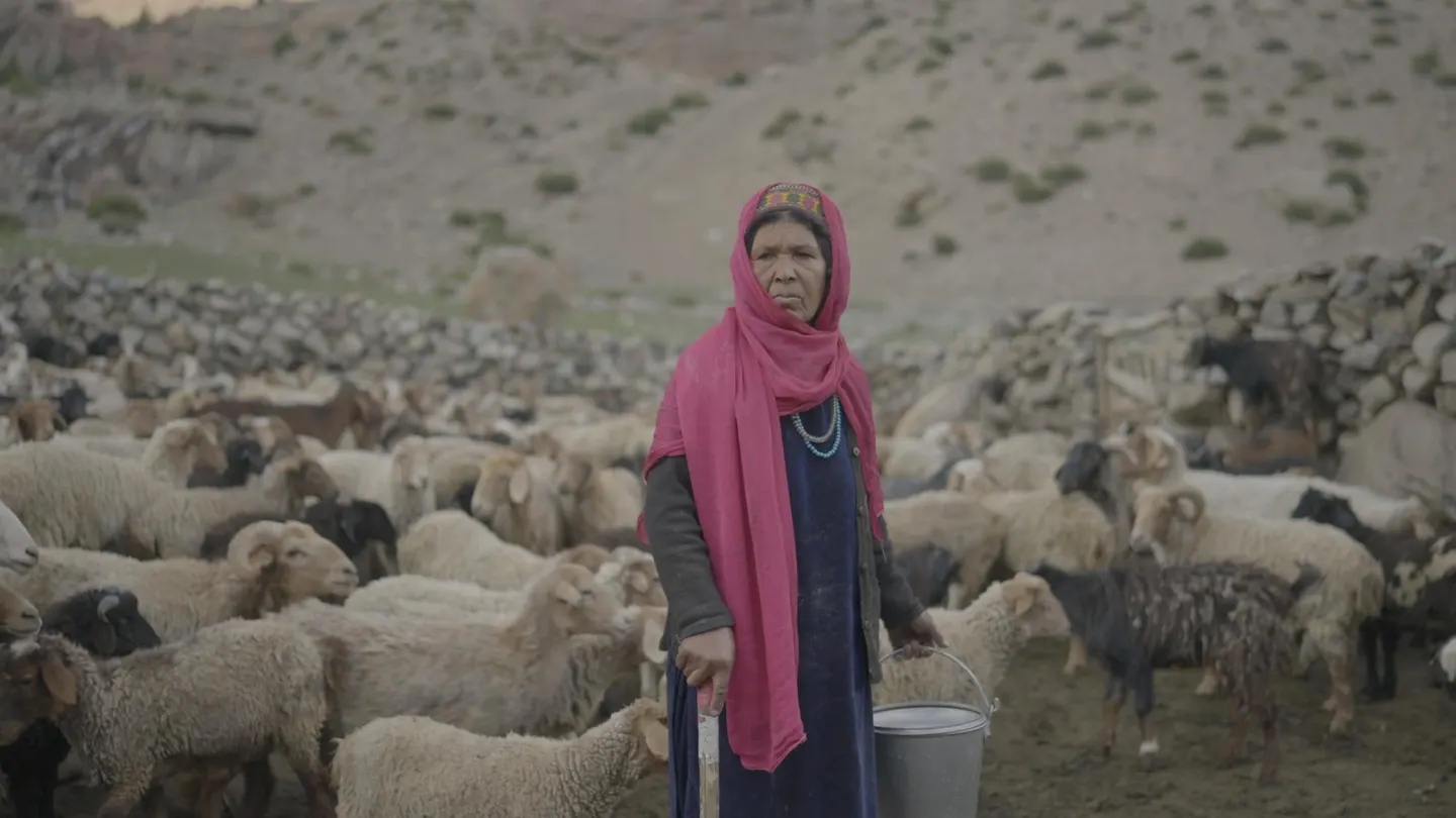 One of the last remaining Wakhi shepherdesses in the valley. (Source: Hira Sheraz/Taseer Ali)